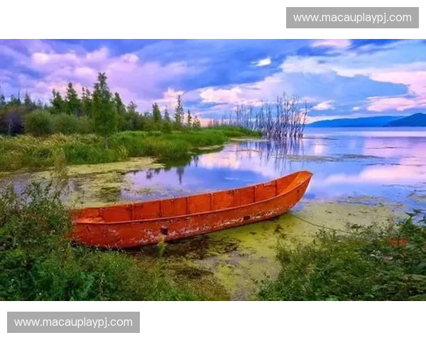 李洁vs佐藤：东西方美学巅峰对决，一场关于“美”的深度对话